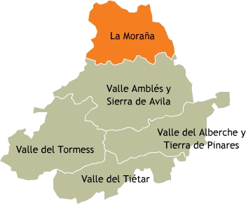 ÁMBITO DE ACTUACIÓN Image